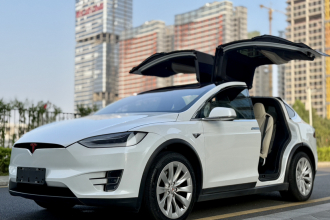 特斯拉 Model X 2019款 长续航版