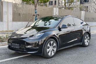 特斯拉 Model Y 2021款 标准续航后驱版