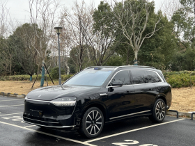 鸿蒙智行 问界M9 2025款 增程 Ultra版 52kWh 6座版（192线激光雷达）