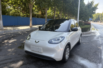 五菱汽车 五菱缤果 2024款 203km 轻享款