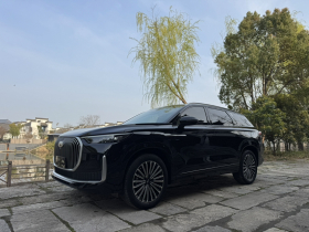 奇瑞 瑞虎9 2025款 2.0T 双离合两驱豪享版 5座