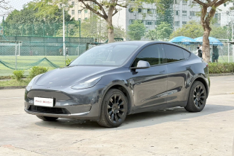 特斯拉 Model Y 2024款 长续航全轮驱动版
