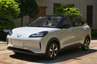 五菱汽车 五菱缤果PLUS 2024款 401km 五座版