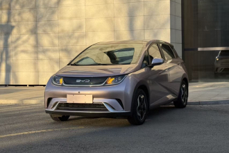 比亚迪 海豚 2021款 405km 时尚版