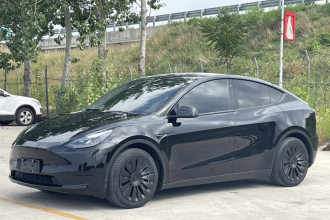 特斯拉 Model Y 2022款 后轮驱动版
