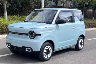 吉利银河 2025款 熊猫mini 210km 元气熊