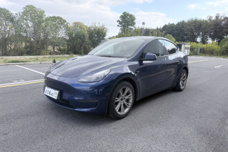特斯拉 Model Y 2021款 长续航全轮驱动版
