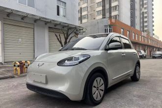 五菱汽车 五菱缤果 2023款 203km 轻享款