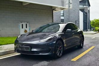 特斯拉 Model 3 2022款 Performance高性能全轮驱动版