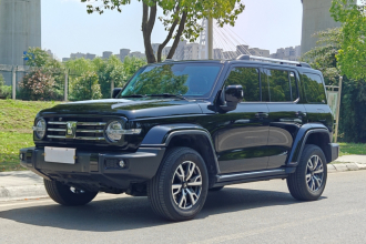 坦克300 2024款 2.0T 穿越者