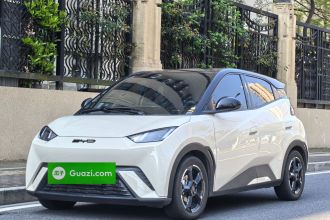 比亚迪 海鸥 2023款 自由版