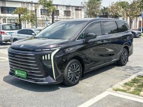 东风风行 星海V9 2024款 1.5TD 200km 青云梯系列 尊贵型