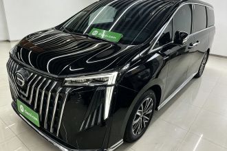 广汽传祺 传祺M8 2024款 大师系列 400T 尊贵版