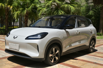 五菱汽车 五菱缤果PLUS 2024款 401km 五座版