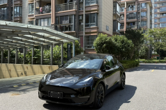 特斯拉 Model Y 2021款 标准续航后驱版