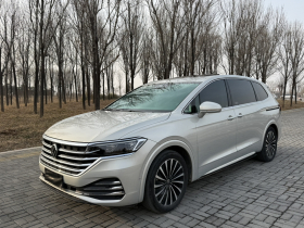 大众 威然 2023款 改款 380TSI 尊贵版