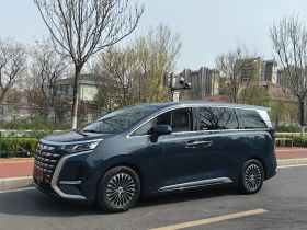 腾势D9 2024款 DM-i 980 四驱旗舰型