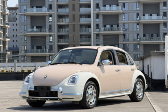 欧拉芭蕾猫 2022款 401km 胡桃夹子版