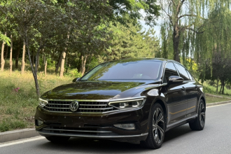 大众 迈腾 2020款 380TSI DSG 旗舰型