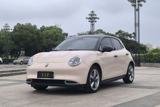 欧拉好猫 2021款 400km标准续航 雅典娜版 磷酸铁锂