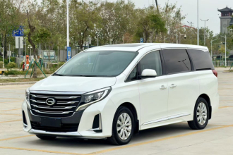 广汽传祺 传祺M8 2020款 领航款 390T 尊享版