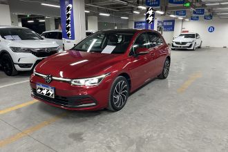大众 高尔夫 2021款 200TSI DSG Pro