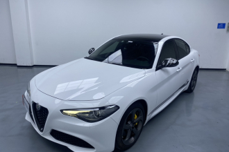 阿尔法·罗密欧 Giulia朱丽叶 2020款 2.0T 280HP 黯夜魅影限量版