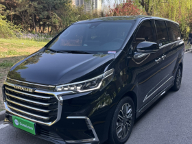 上汽大通MAXUS 大通G20 2019款 首发款 2.0T 自动智尊版 国V