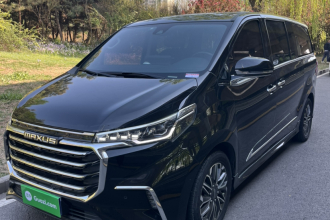 上汽大通MAXUS 大通G20 2019款 首发款 2.0T 自动智尊版 国V