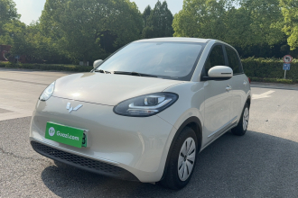 五菱汽车 五菱缤果 2023款 203km 轻享款