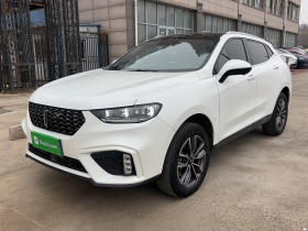 魏牌 VV5 2020款 1.5T 两驱智先锋