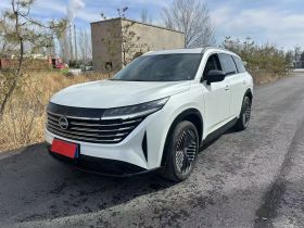 日产 探陆 2024款 380VC-TURBO 四驱智尊版 6座