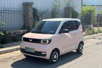 五菱汽车 宏光MINIEV 2020款 自在款 三元锂