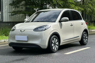 五菱汽车 五菱缤果 2024款 333km 悦享款