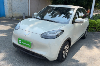 五菱汽车 五菱缤果 2023款 203km 舒享款