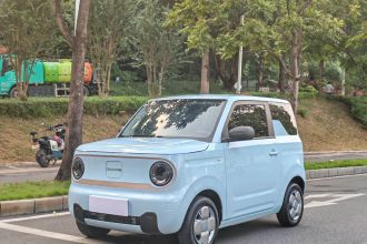 吉利银河 2023款 熊猫mini 200km 耐力熊