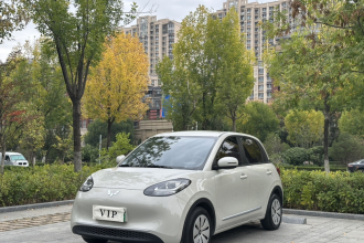 五菱汽车 五菱缤果 2023款 203km 轻享款