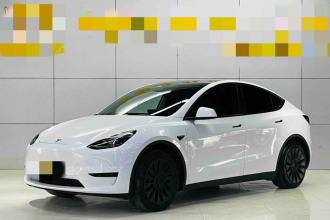 特斯拉 Model Y 2024款 后轮驱动版