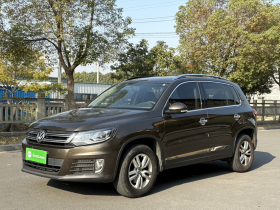 大众 途观 2016款 300TSI 自动两驱风尚版