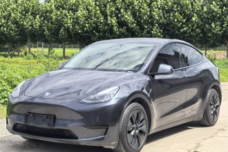 特斯拉 Model Y 2024款 后轮驱动版