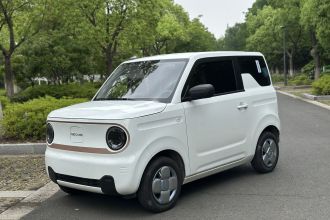 吉利银河 2024款 熊猫mini 200km 耐力熊