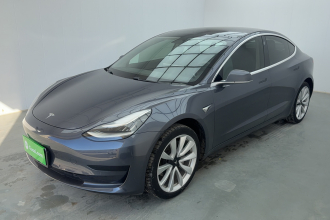 特斯拉 Model 3 2019款 标准续航后驱升级版