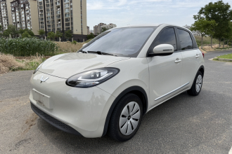 五菱汽车 五菱缤果 2023款 203km 轻享款