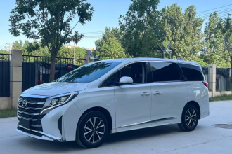 广汽传祺 传祺M8 2024款 领秀系列 390T 豪华版