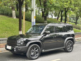 捷途山海 捷途旅行者C-DM 2024款 C-DM 129KM 林野版