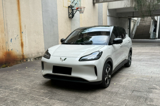 五菱汽车 五菱缤果PLUS 2024款 330km 五座版