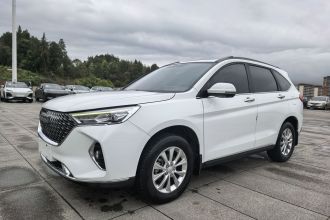 哈弗M6 2023款 PLUS 1.5T DCT柳岩联名版