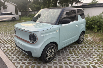 吉利银河 2023款 熊猫mini 200km 灵动熊