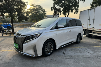 广汽传祺 传祺M8 2021款 大师系列 390T 旗舰版