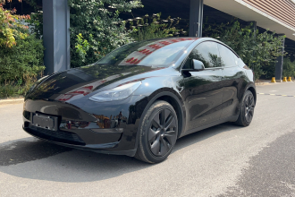 特斯拉 Model Y 2021款 标准续航后驱版